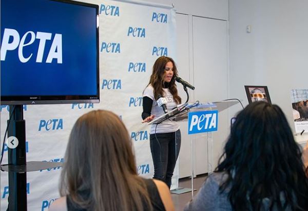 Kate del Castillo: «La gente que maltrata los animales, muchas veces continúa cometiendo violencia contra los humanos». Vea video.