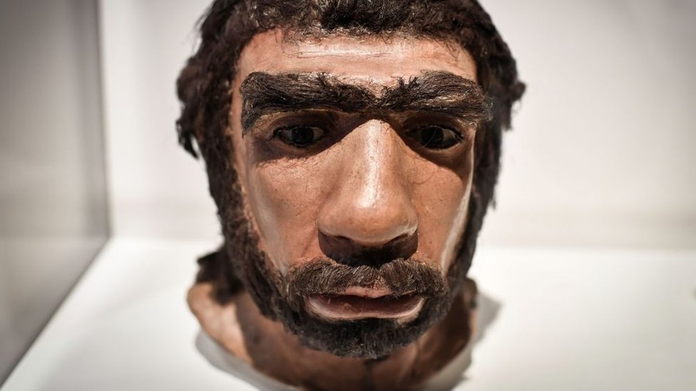 5 ejemplos que muestran que los neandertales no eran simples «hombres mono»