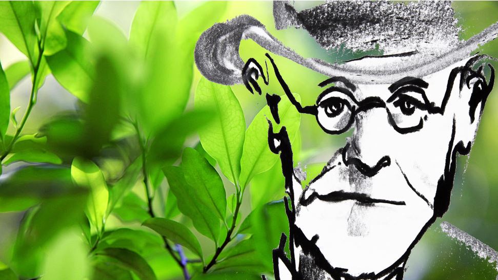 Cómo Sigmund Freud introdujo la cocaína en la medicina europea