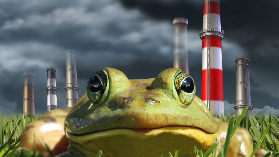 Qué es el «efecto de la rana hervida» que hace que perdamos interés por el cambio climático