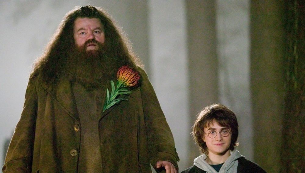 El actor que da vida a «Hagrid» en Harry Potter reaparece en silla de ruedas