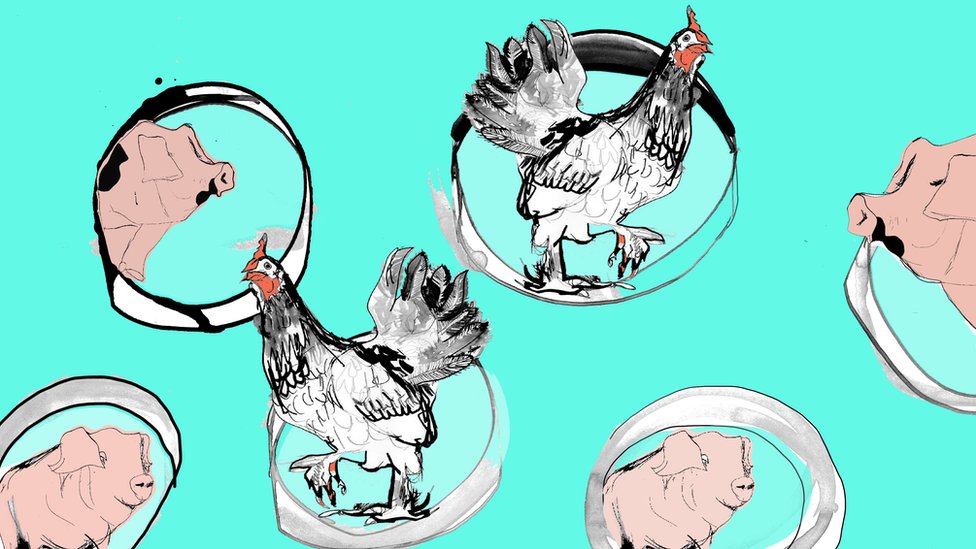 La carrera por producir carne artificial y cómo puede cambiar la forma en la que comemos