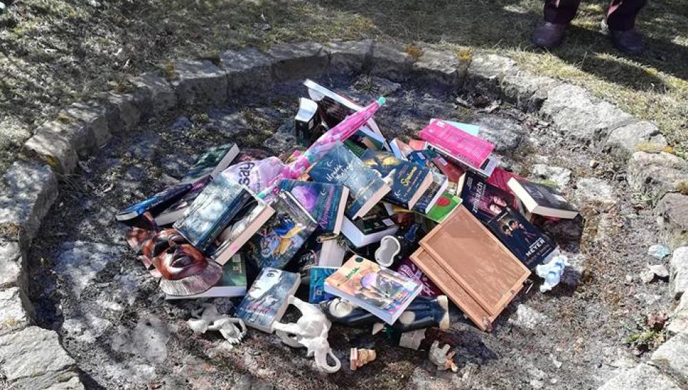 Sacerdote que quemó libros de Harry Potter se disculpa