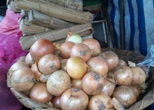 cebollas, tomates