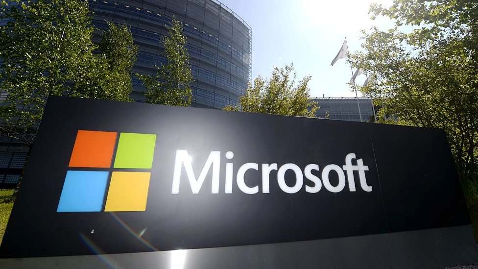Microsoft, Web