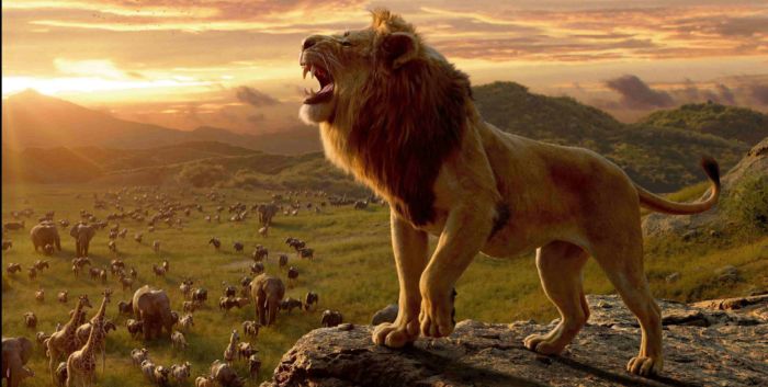 El Rey León