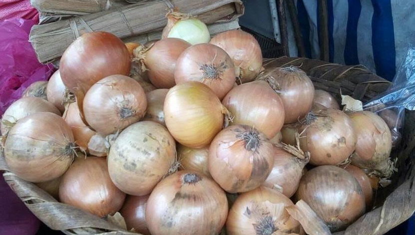 Cebolla
