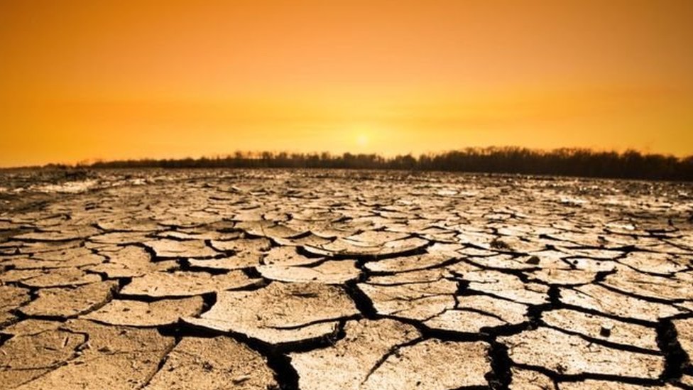 Cambio climático