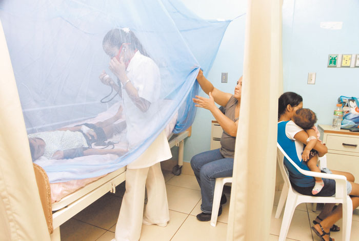 dengue