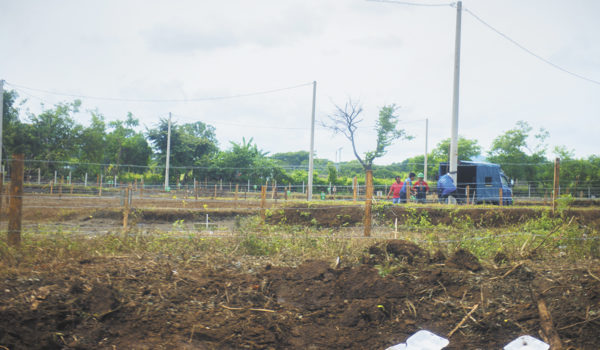 vivienda