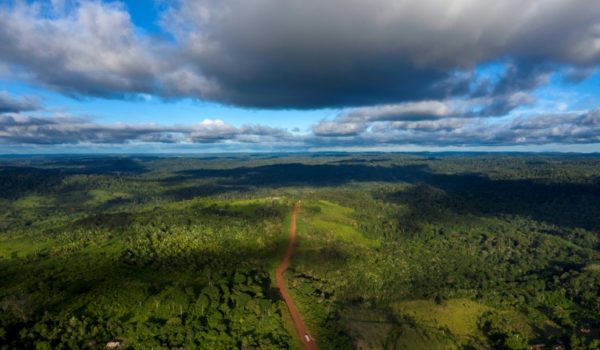 Aprueban informe del IPCC sobre impacto del uso de las tierras en alimentos y clima