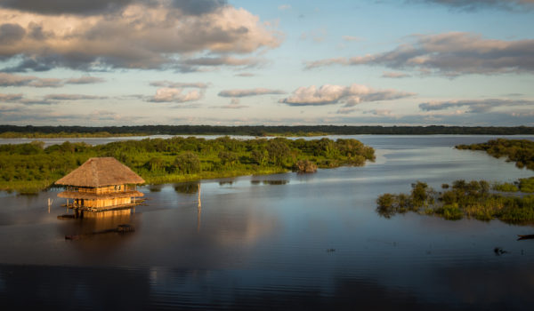 Amazonia