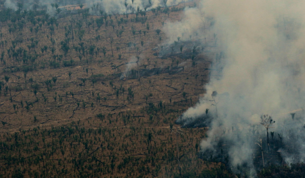 El incendio en la Amazonía, en imágenes