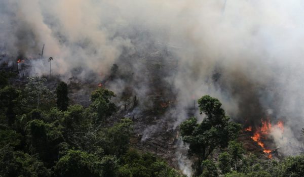 Amazonas, Brasil