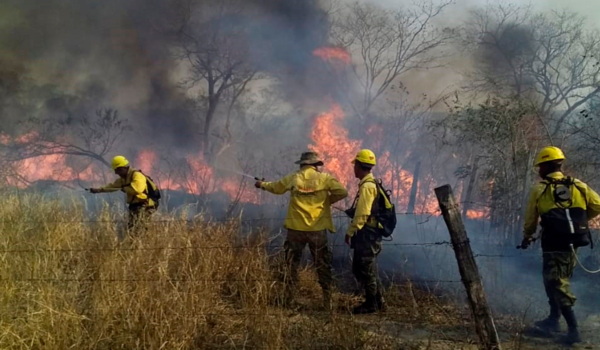 Bolivia, incendios