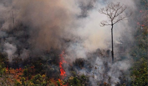 Madonna, Leonardo DiCaprio, Cristano Ronaldo y hasta Emmanuel Macron desinforman sobre incendios del Brasil