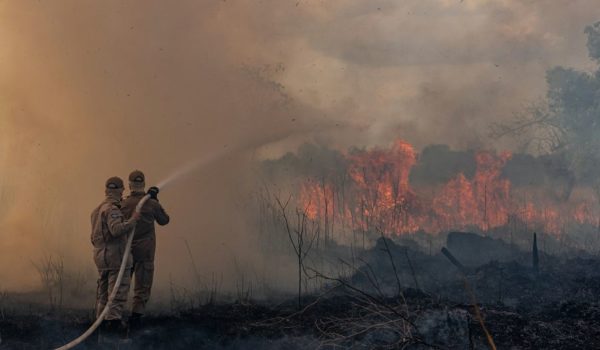 incendios, Brasil