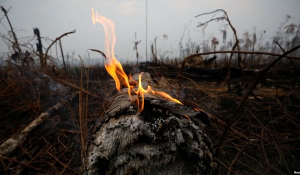 papa francisc, incendios, Brasil