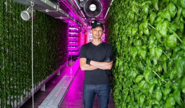 Agricultura vertical: el boom del millonario negocio de las frutas y verduras futuristas que crecen en las ciudades