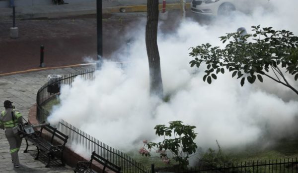 Cruz Roja: Dengue se extiende rápidamente en América Central