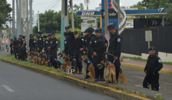 perros
