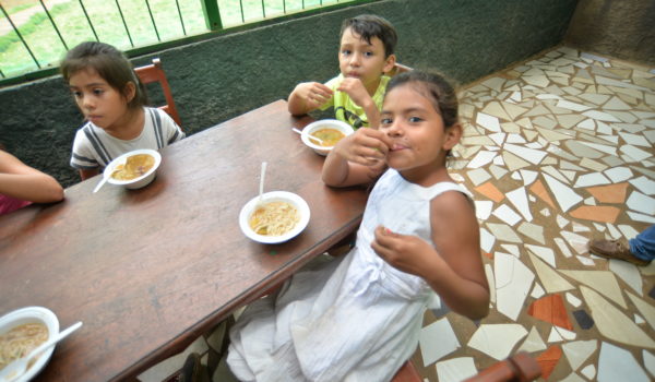 nutrición, alimentación