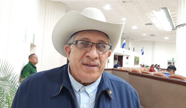 desaforación, inmunidad, diputado Reynaldo Altamirano, Asamblea Naciona