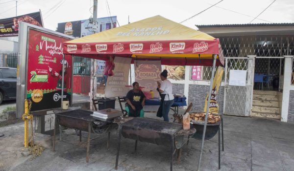 pollos asados