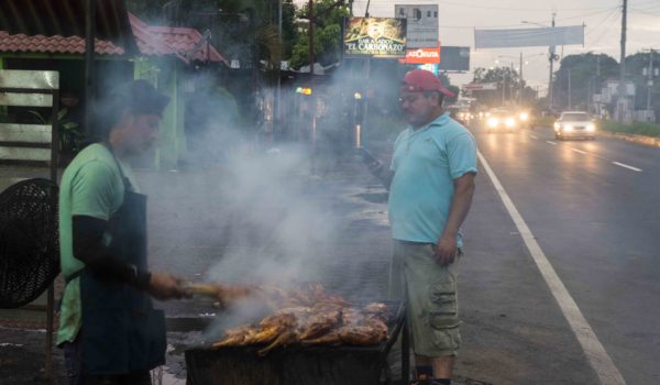 pollos asados