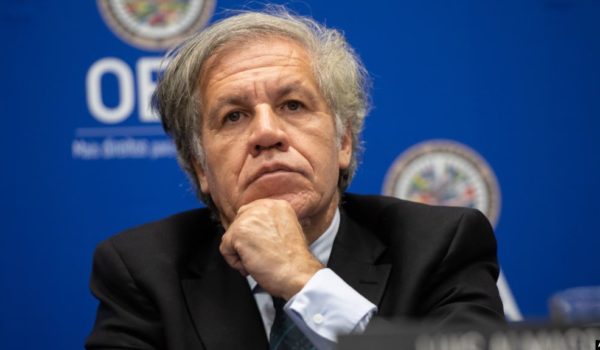 elecciones, Nicaragua, Luis Almagro, OEA