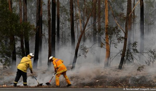 Tenue lluvia da breve respiro ante incendios en Australia