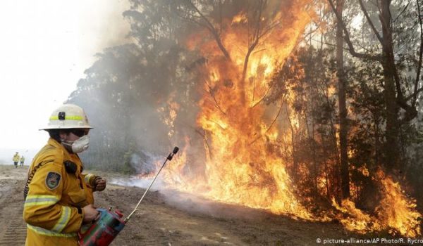 Incendios en Australia amenazan a 327 especies de animales y plantas