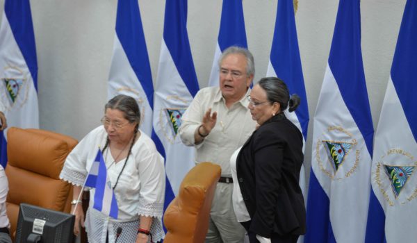 junta directiva de edad, Asamblea Nacional, diputados, elecciones 2021