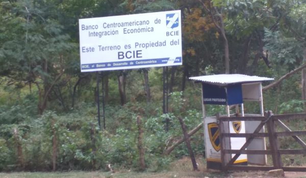 Michael Healy, BCIE, propiedad