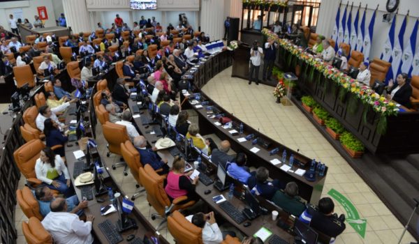 asamblea nacional