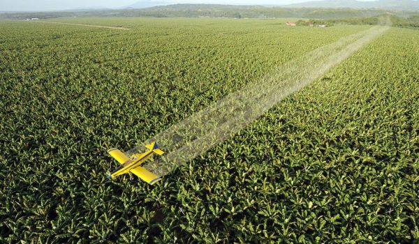 Las empresas que ganan millones vendiendo pesticidas peligrosos al mundo en desarrollo (y qué país de América Latina es líder mundial en su uso)
