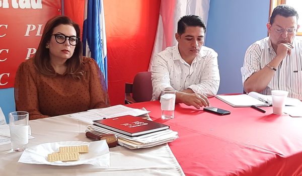 PLC, María Fernanda Flores, Arnoldo Alemán