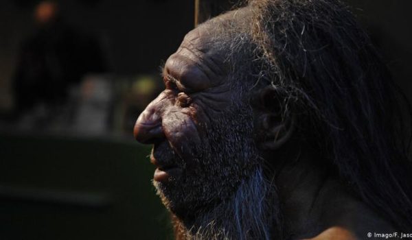 Hallado en Irak un esqueleto neandertal de más de 70.000 años de antigüedad