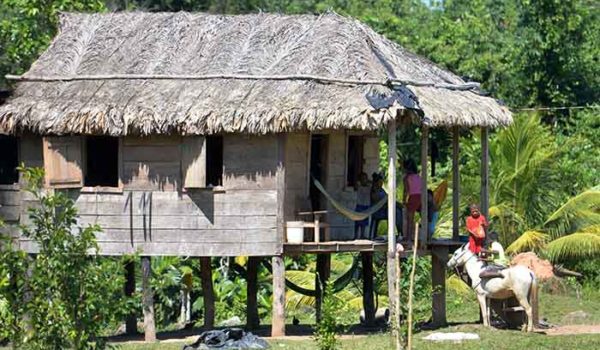 pueblos indígenas, pandemia
