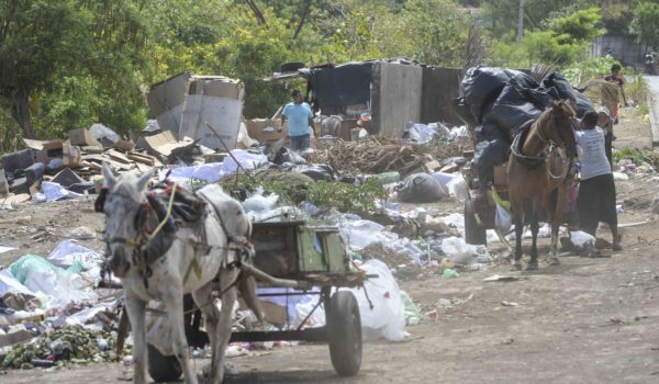 Managua convertida en un «chiquero». Alcaldía mantiene basureros públicos atestados durante días