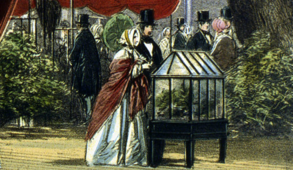 caja de Ward, agricultura