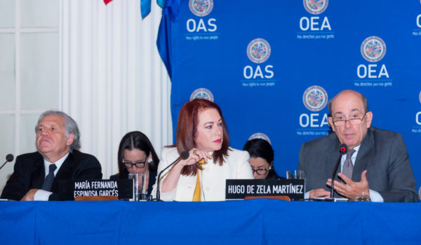 secretaría general, OEA, secretario general, Luis Almagro, María Fernanda Espinosa, ALBA