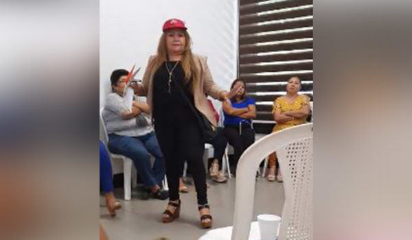diputada
