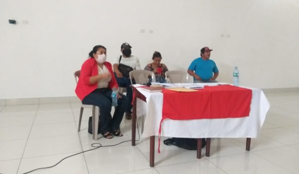 PLC, elecciones, primarias, coronavirus, #Libre