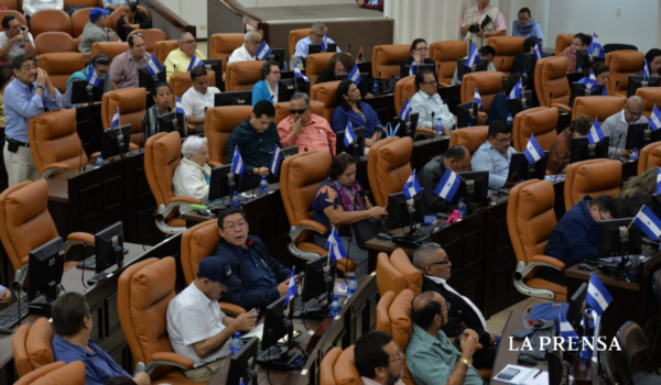 coronarivus. Asamblea Nacional, diputados