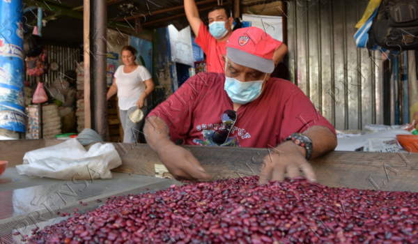 Libra de frijol mantiene su precio alto. Hasta en 30 córdobas se cotiza en los mercados de Managua