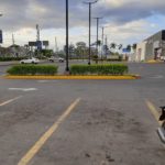 Habilitan paso peatonal en el interior de Metrocentro
