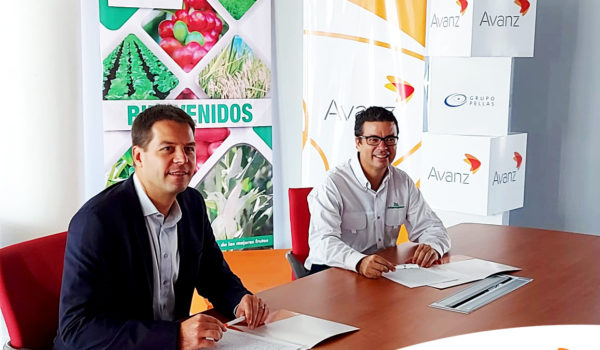 Alianza Avanz-Disagro