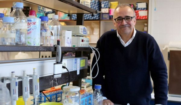 Ignacio López-Goñi, coronavirus