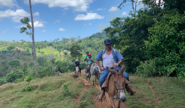 Medardo Mairena, Movimiento Campesino, Coalición Nacional, Alianza Cívica, UNAB, dictadura, Nicaragua
